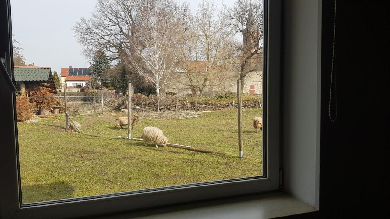 Zimmervermietung Zahn Baalberge Extérieur photo